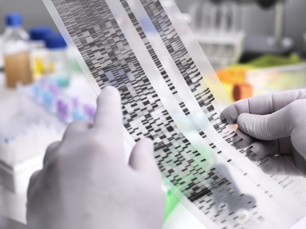 دانشمند یک توالی DNA را رمزگشایی می کند "عنوان =" دانشمند یک توالی DNA را رمزگشایی می کند "/>
<figcaption class=