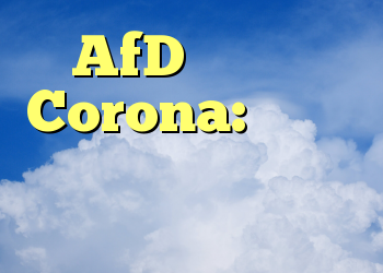 AfD در بحران Corona: چرا حزب چنین شرایط سختی را پشت سر می گذارد
