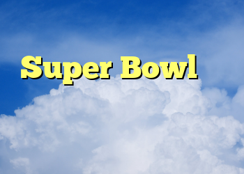 اندی رید در ماسک Super Bowl خود مانند یک توکان مخفی به نظر می رسد
