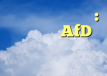 رسوایی در نیدرزاکسن: کنفرانس حزب AfD به دلیل ازدحام جمعیت لغو شد