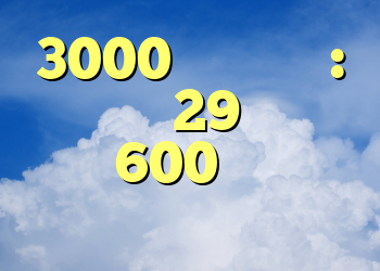 3000 یورو حقوق: این جوان 29 ساله هر ماه 600 یورو می گذارد