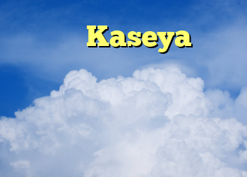 کارمندان Kaseya سالها قبل از حمله باج افزار در مورد نقص های امنیتی زنگ خطر را به صدا در می آوردند