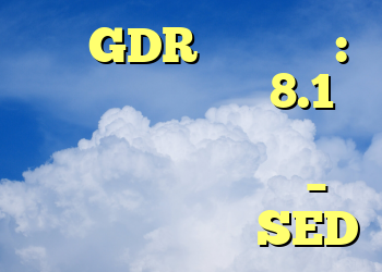 پول GDR برای تسلا: دولت براندنبورگ 8.1 میلیون یورو برای خودروساز آمریکایی پرداخت کرد – با پول از یک دارایی SED